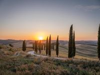 Italy's Rural Landscape: Tranquil Dirt Road