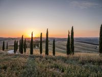 Italy's Rural Landscape: Tranquil Dirt Road