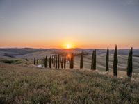 Italy's Rural Landscape: Tranquil Dirt Road