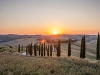 Italy's Rural Landscape: Tranquil Dirt Road