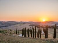 Italy's Rural Landscape: Tranquil Dirt Road