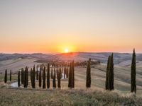 Italy's Rural Landscape: Tranquil Dirt Road