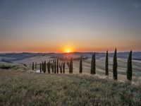 Italy's Rural Landscape: Tranquil Dirt Road