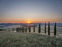 Italy's Rural Landscape: Tranquil Dirt Road