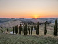 Italy's Rural Landscape: Tranquil Dirt Road