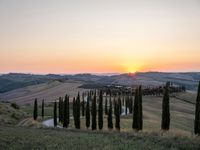 Italy's Rural Landscape: Tranquil Dirt Road