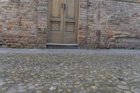 a cat walking around a cobblestone street with a wooden door behind it and in the background, a sidewalk in front of a brick building