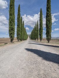 Italy Nature Landscape: Tuscany Countryside