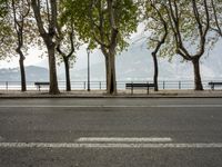 a view down an empty city sidewalk with benches and trees next to water on a misty day