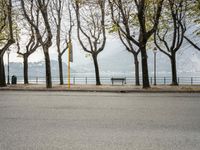 a view down an empty city sidewalk with benches and trees next to water on a misty day