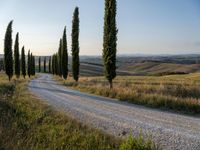 Rural Road in Italy: Enjoy the Clear Sky