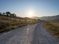 Rural Road in Italy: A Sunlit Pathway