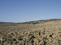 an old rural area, with a lone sheep standing in it's field of dirt