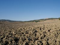 an old rural area, with a lone sheep standing in it's field of dirt