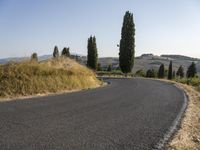 an empty street on a sunny day in the countryside with tall trees and hills to the side