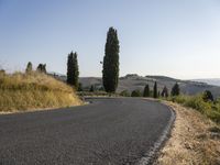 an empty street on a sunny day in the countryside with tall trees and hills to the side