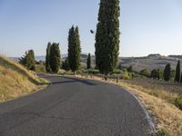 an empty street on a sunny day in the countryside with tall trees and hills to the side