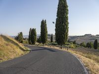 an empty street on a sunny day in the countryside with tall trees and hills to the side