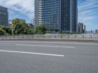 Japan: Daytime Cityscape of Tokyo Featuring Bridges and Skyline