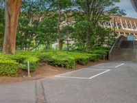 the park has trees on both sides and a fence with no grass on it, along side a road in a wooded area