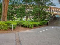 the park has trees on both sides and a fence with no grass on it, along side a road in a wooded area