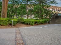 the park has trees on both sides and a fence with no grass on it, along side a road in a wooded area