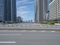 Japan's Urban Structures: Bridge and Skyline Views