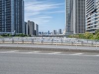 Japan's Urban Structures: Bridge and Skyline Views