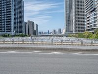 Japan's Urban Structures: Bridge and Skyline Views