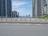 Japan's Urban Structures: Bridge and Skyline Views