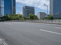 Japanese City Skyline: Bridges and Armco Barriers