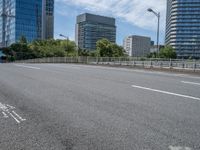 Japanese City Skyline: Bridges and Armco Barriers