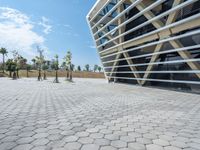 a walkway between the two buildings, next to trees and some bushes in front of each other