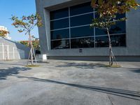 a fire hydrant in the middle of a parking lot near a building with trees and two other plants