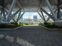 an image of the entrance to a building that is under construction in a city park