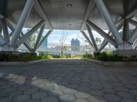 an image of the entrance to a building that is under construction in a city park