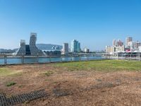 an empty grassy field next to a marina filled with lots of tall buildings on a clear day