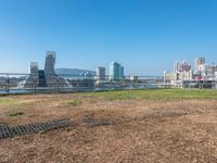 an empty grassy field next to a marina filled with lots of tall buildings on a clear day