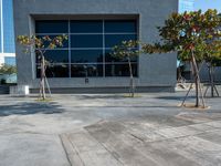 a concrete patio with three trees in front of a building and a blue sky reflecting off the windows