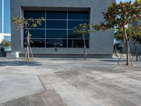 a concrete patio with three trees in front of a building and a blue sky reflecting off the windows