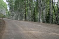 Kebler Pass, Colorado, USA Landscape 001