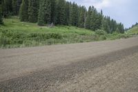 the motorcycle rides down a quiet road on an open field of trees and grass behind it