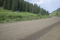 the motorcycle rides down a quiet road on an open field of trees and grass behind it