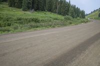 the motorcycle rides down a quiet road on an open field of trees and grass behind it