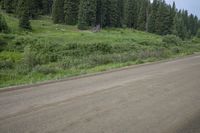 the motorcycle rides down a quiet road on an open field of trees and grass behind it