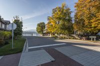 an empty street is shown with an empty parking lot in the background and some trees