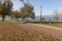 many yellow leaves on the ground near a light post and a grassy field with trees, water, and mountains