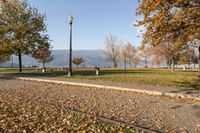 many yellow leaves on the ground near a light post and a grassy field with trees, water, and mountains