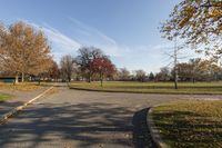 a paved path in the park with trees and grass near it and an asphalt walkway on the right