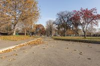 Kelowna, British Columbia - Autumn Road with Trees (002)